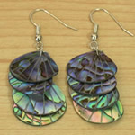 Natural Paua Seashell Earrings